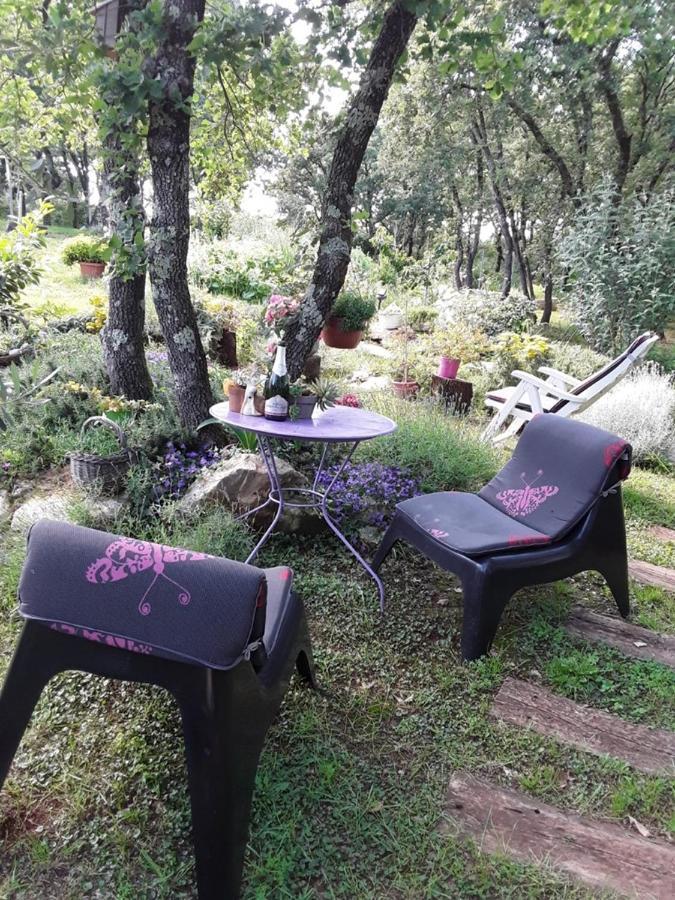 Apartments Bijou With Big Private Garden Near Umag Vilanija エクステリア 写真