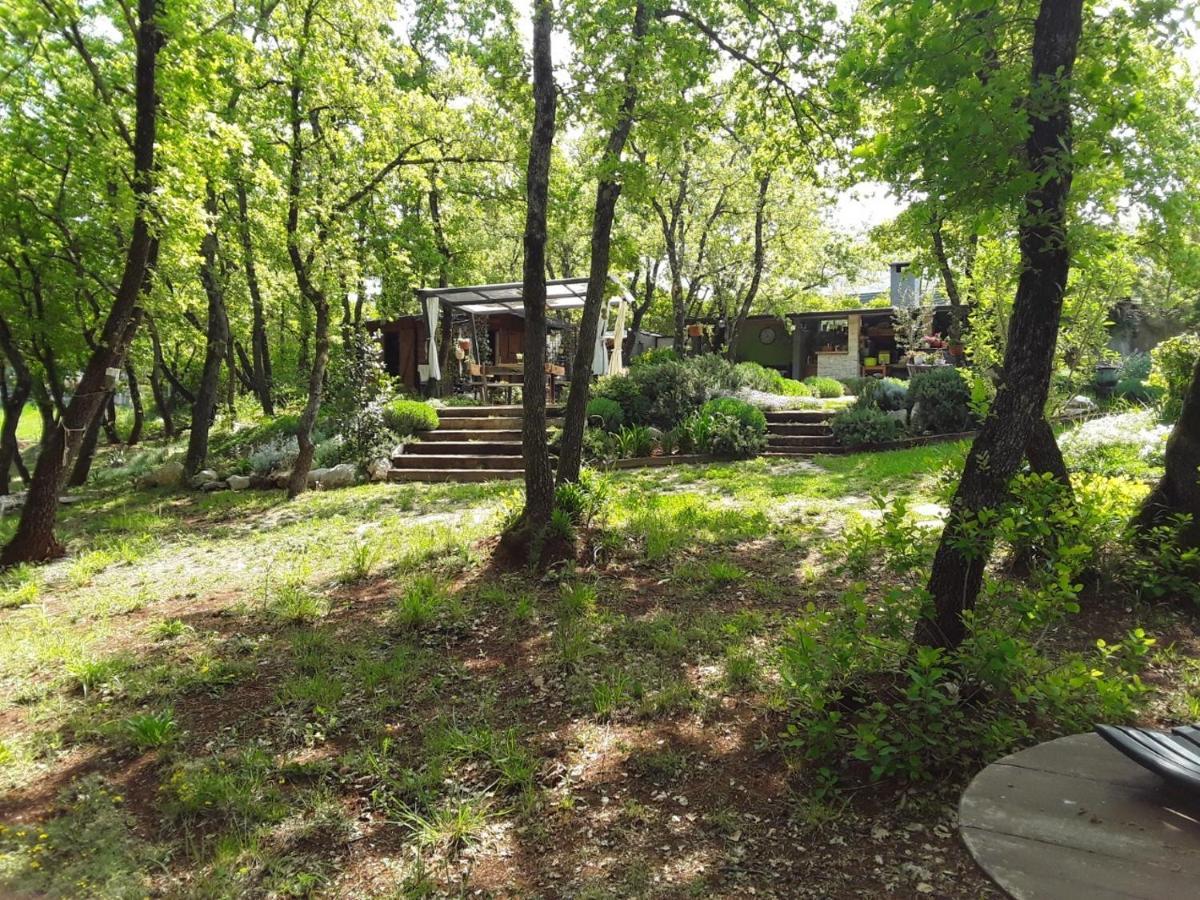 Apartments Bijou With Big Private Garden Near Umag Vilanija エクステリア 写真