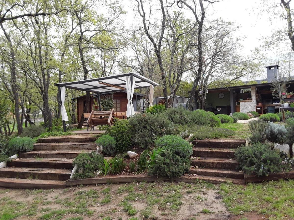 Apartments Bijou With Big Private Garden Near Umag Vilanija エクステリア 写真