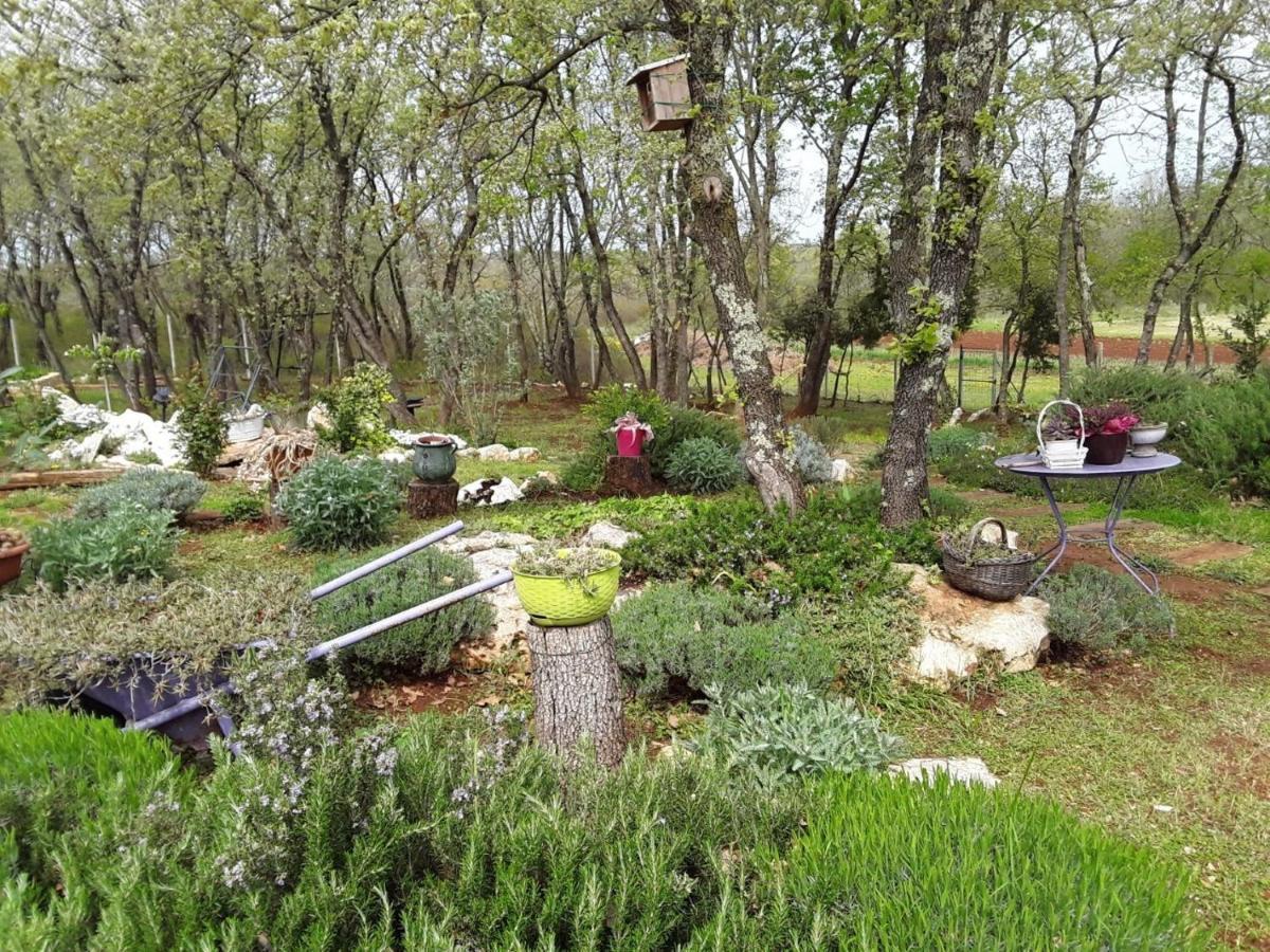 Apartments Bijou With Big Private Garden Near Umag Vilanija エクステリア 写真